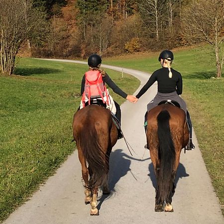 Reiterbauernhof Maho Villa Sankt Aegyd am Neuwalde Bagian luar foto