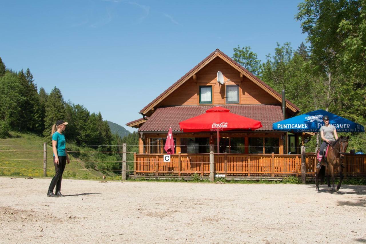 Reiterbauernhof Maho Villa Sankt Aegyd am Neuwalde Bagian luar foto