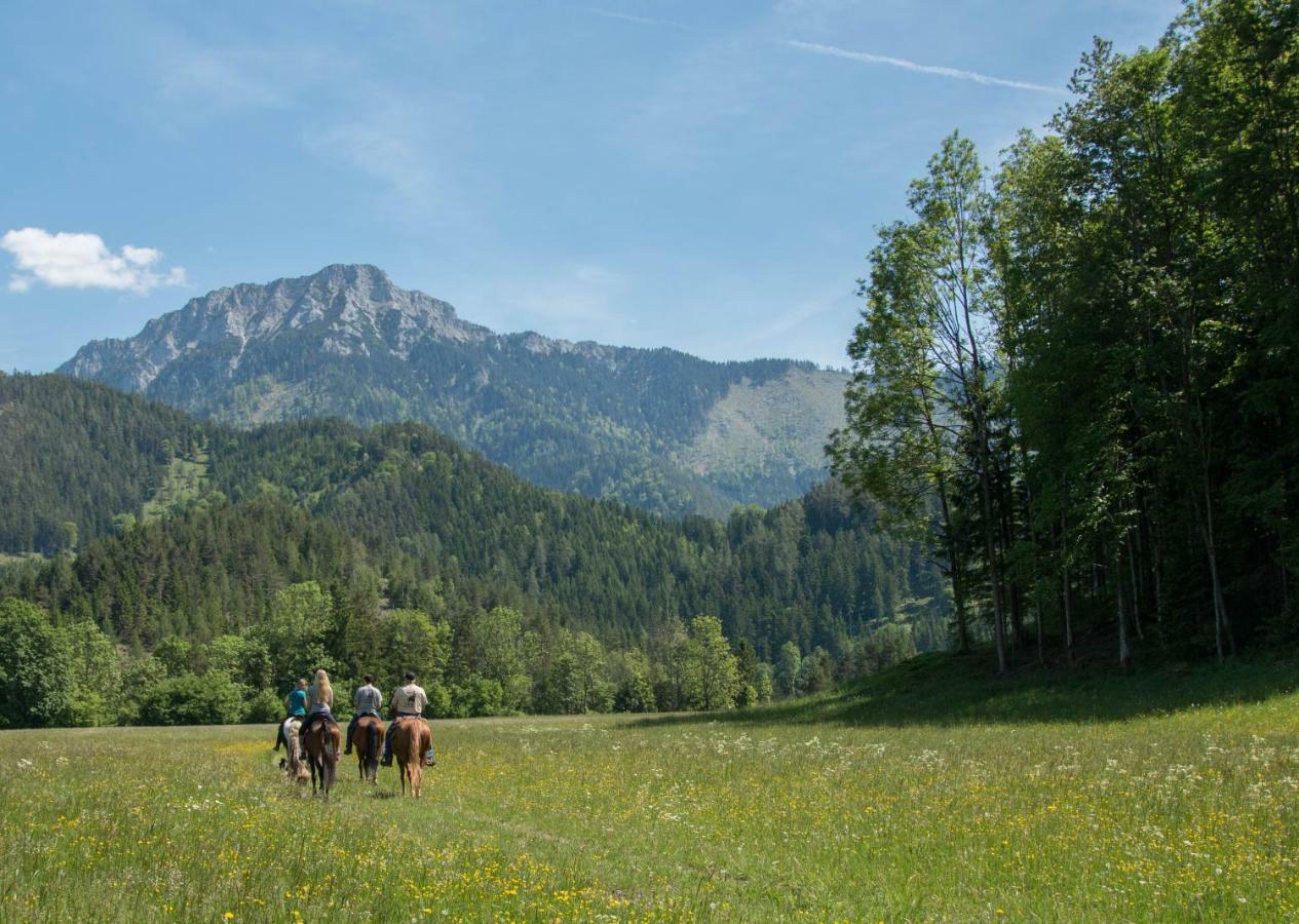 Reiterbauernhof Maho Villa Sankt Aegyd am Neuwalde Bagian luar foto