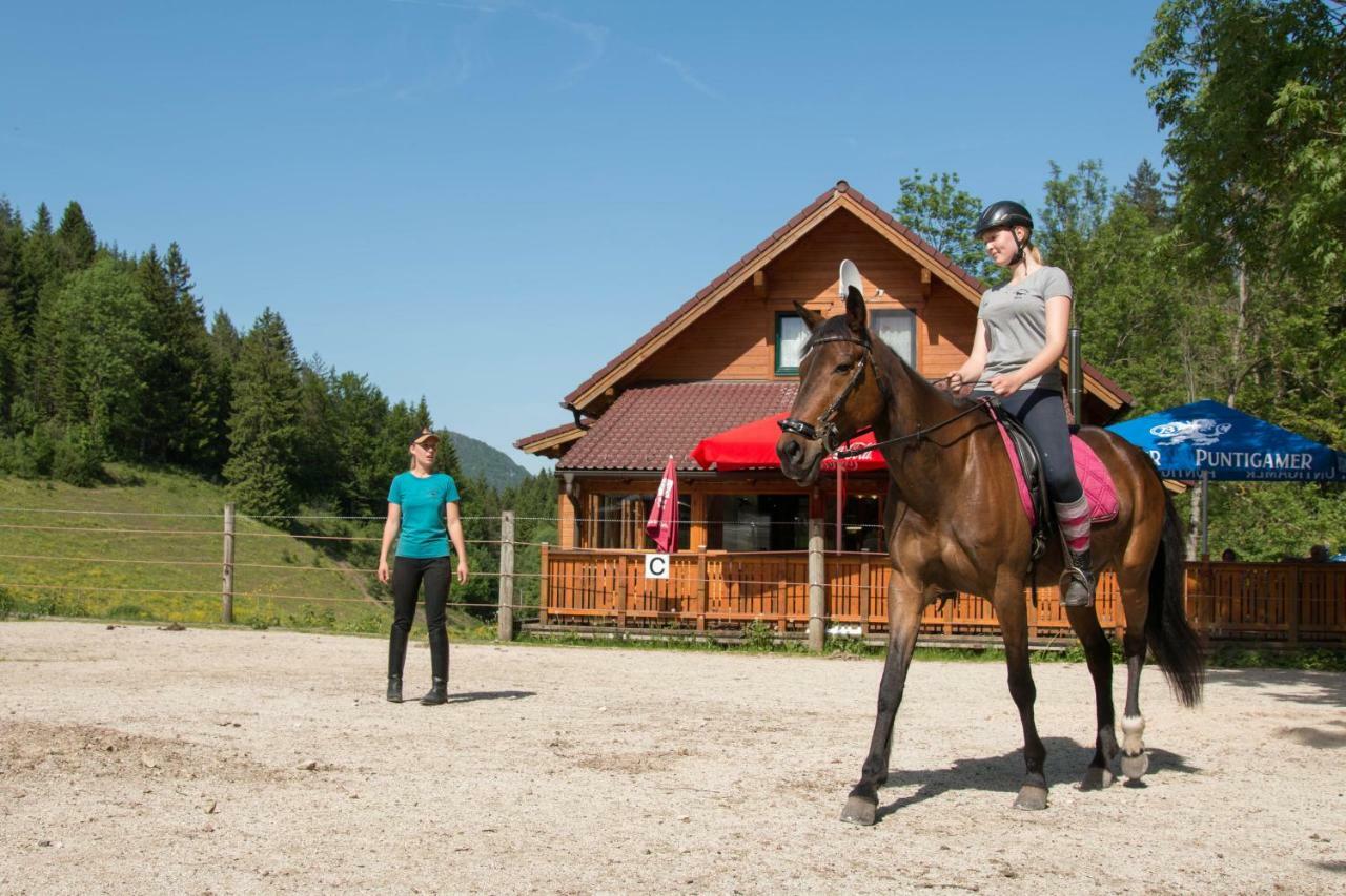 Reiterbauernhof Maho Villa Sankt Aegyd am Neuwalde Bagian luar foto