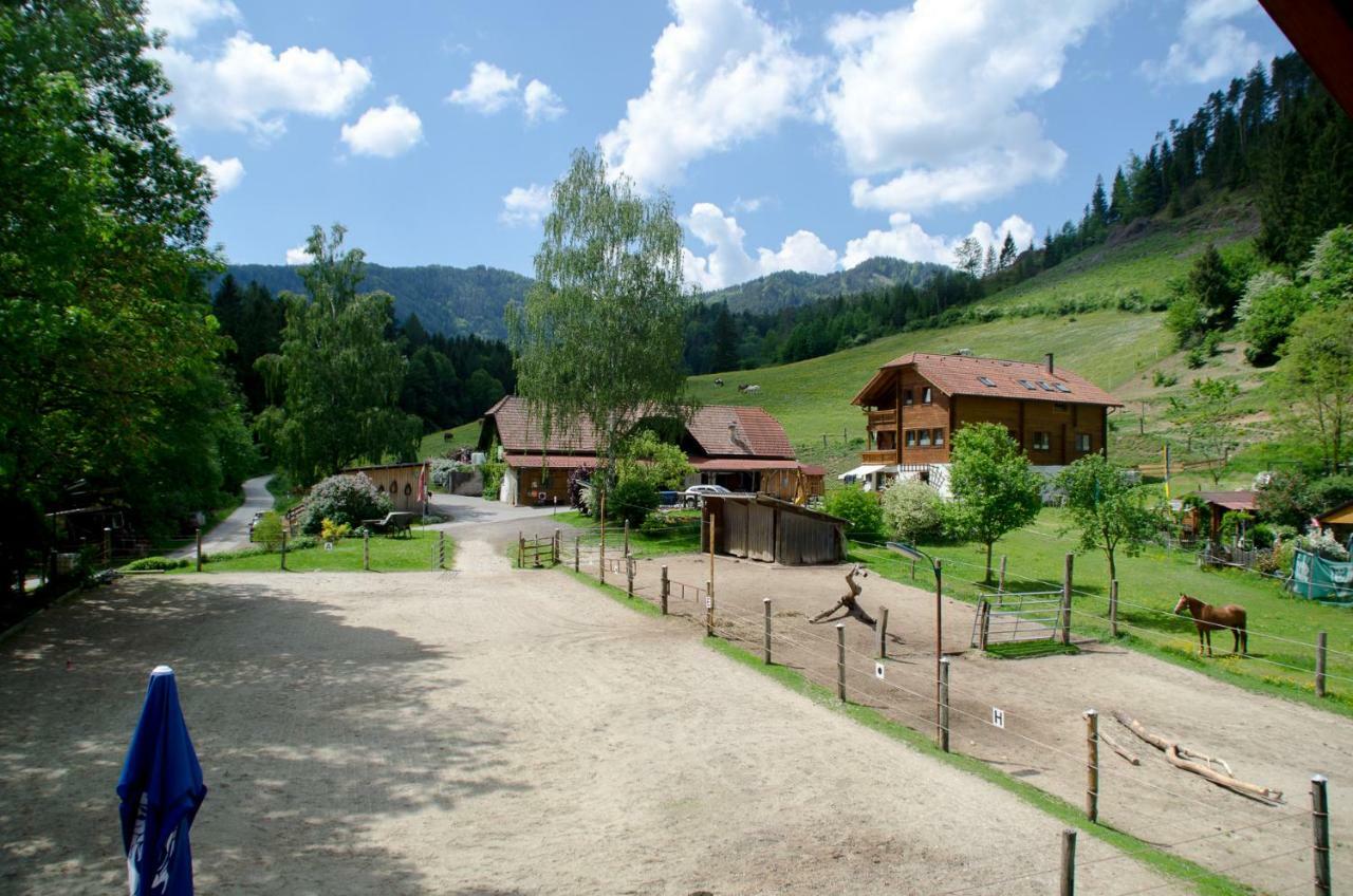 Reiterbauernhof Maho Villa Sankt Aegyd am Neuwalde Bagian luar foto